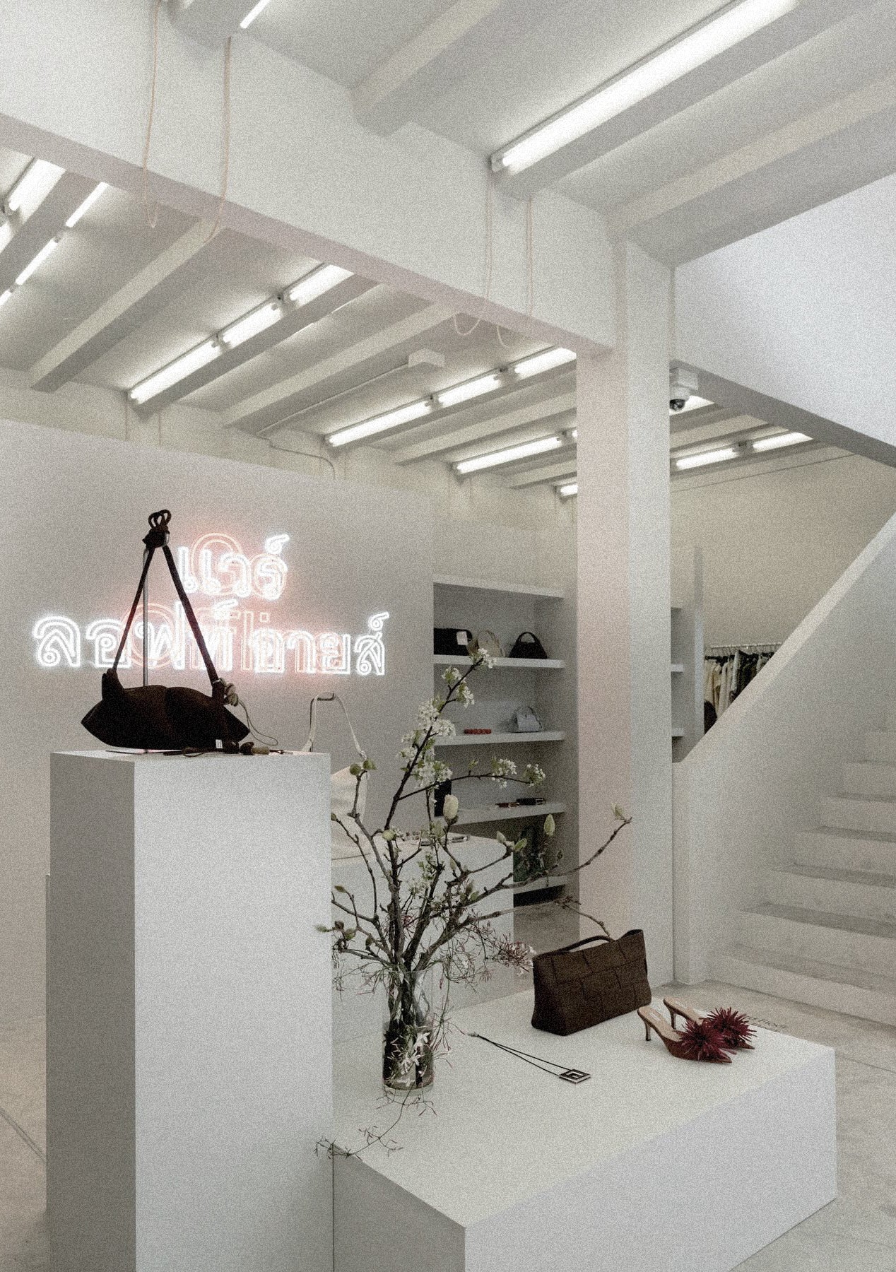 LOFTEYES  FLAGSHIP